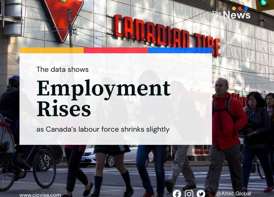 Employment rises as Canada’s labour force shrinks slightly