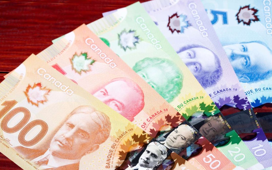A Newcomer’s Guide to Canadian Benefits and Credits in 2024